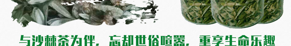 东元沙棘茶加盟健康产业