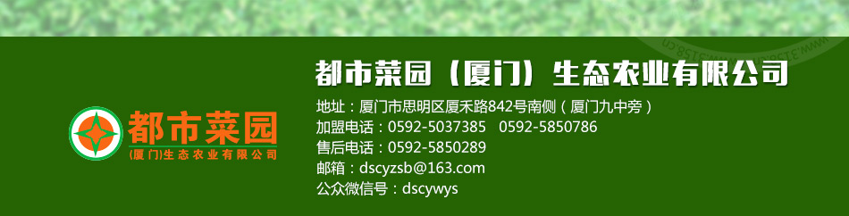 公司官网