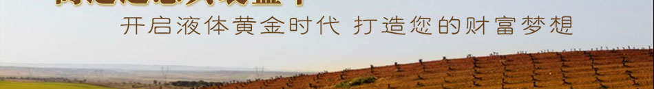 高迪进口葡萄酒加盟西班牙红酒四大名庄皇玺酒庄驻中国大陆地区唯一指定红酒加盟代理商