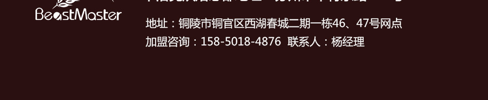 公司官网