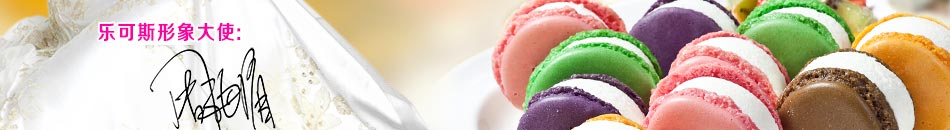 乐可斯冰淇淋加盟2014全国十大意大利冰淇淋加盟连锁店品牌