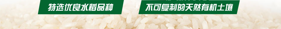 润香米特选优良水稻品种