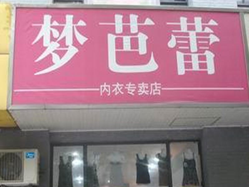 内衣公司简介范文4篇