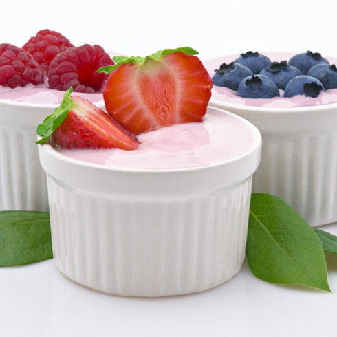 吉客士酸奶系列之果味酸奶