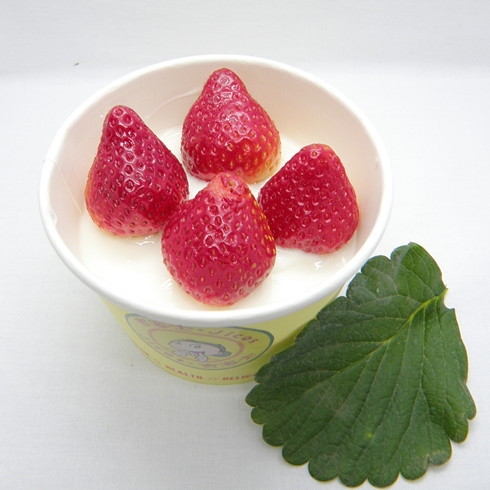 吉客士酸奶系列之草莓酸奶