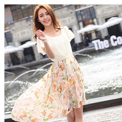 致富网小投资项目-服装加盟-茵佳妮碎花裙子的