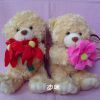 录音娃娃 礼品熊抱玫瑰花，情人节礼物  精致包装