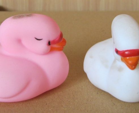 搪胶动物鹅_吉鑫玩具-3158招商加盟网