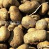 三源农副产品土豆