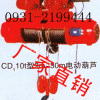 厂家销售甘肃电动葫芦和CD1 MD1电动葫芦及钢丝绳电葫芦