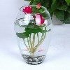 厂家批发母亲节日礼物18-15-25恐龙蛋透明水培植物水培玻璃花瓶