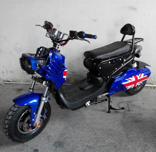 新蕊电动车_新蕊电动车招商_新蕊电动车品牌