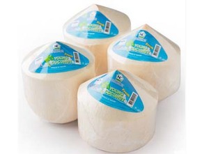 批发泰国椰青 易拉椰子 新鲜水果进口椰皇椰王