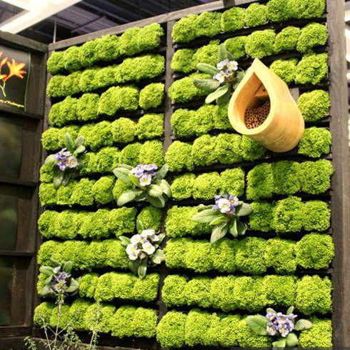智能水培植物背景墙
