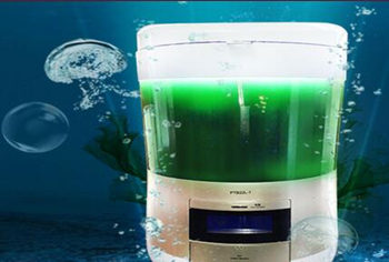 源生泰鲜活螺旋藻