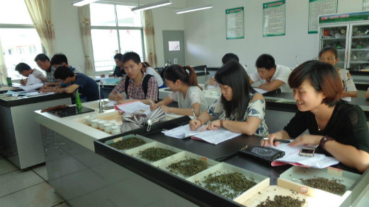 评茶员技能考试