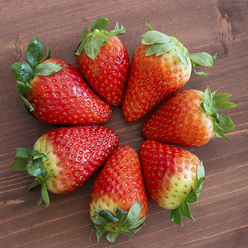 果缤纷-草莓