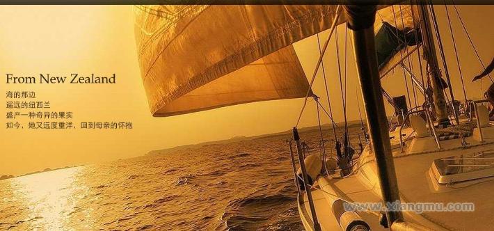 女人酒招商加盟【加盟连锁 批发代理】- 女人酒