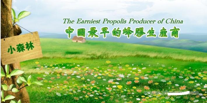小森林蜂胶连锁店加盟全国招商