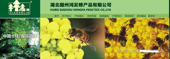 小森林蜂胶连锁店加盟全国招商