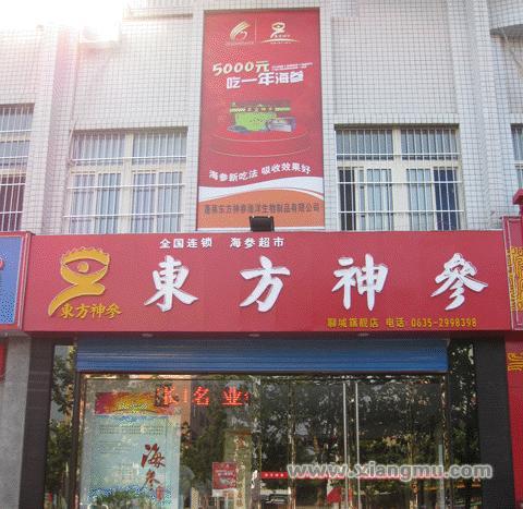 中国海参食疗养生专家-东方神参海参全国火爆