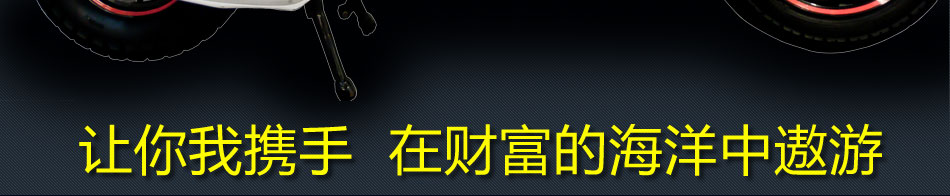 投资瑷尔电动车有相当不错的净利润