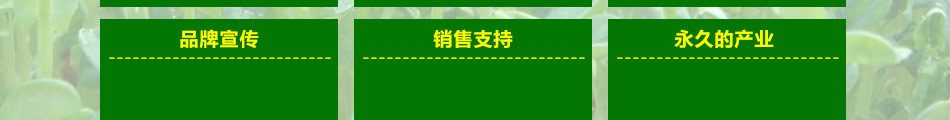 爱心农场芽苗菜加盟生产新型特色蔬菜