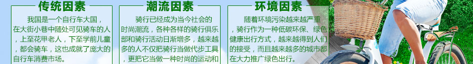 阿卡特电动自行车加盟代理自行车代理招商加盟