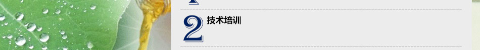 车之洁汽车全能保护膜加盟透明隐形车衣保护膜批发