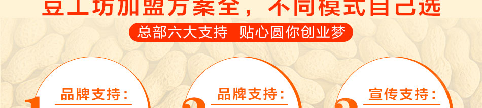 豆工坊花生豆腐机加盟小本经营