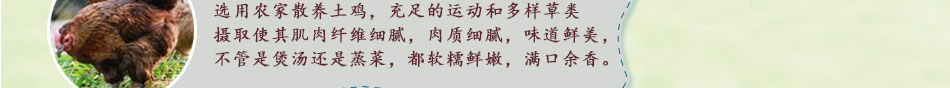 淝上人家老鸡汤加盟上餐快