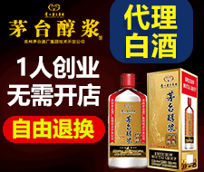 贵州茅台醇浆酒