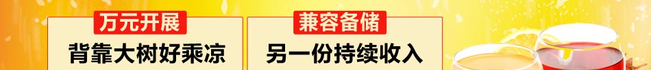 好飞酸梅汤饮料加盟投资抵风险小