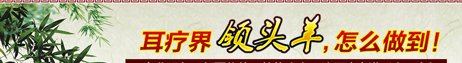 皇室耳疗养生馆加盟一站式扶持