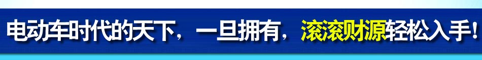 电瓶超市连锁店模式