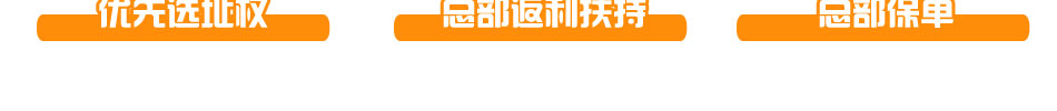 空白市场的任何区域优先选址