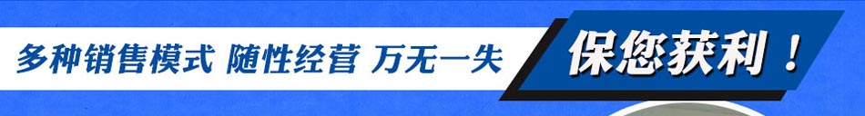 康莱斯汽车智控系统多种销售模式