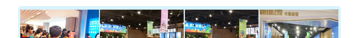 卡塔利亚进口零食代理条件