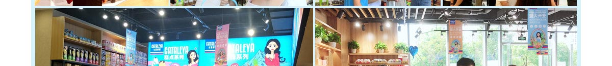 卡塔利亚进口零食代理要求