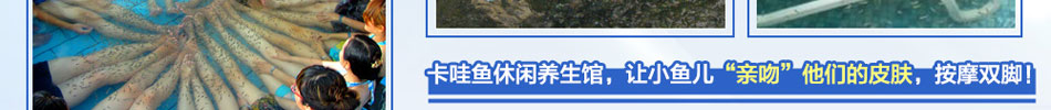 卡哇鱼休闲养生馆加盟鱼疗馆加盟1人经营7天开店