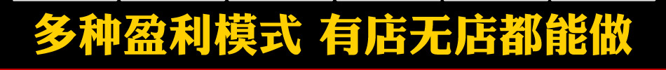 多种盈利模式有店无店都能做