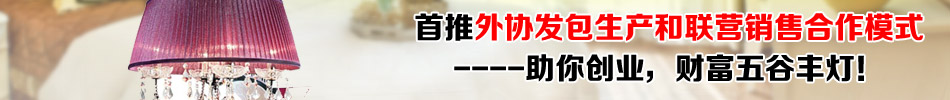 朗粤国际 中国照明产业500强