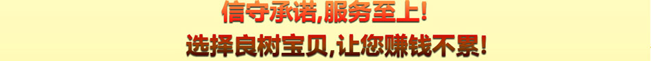 良树宝贝智能体验馆加盟室内儿童乐园加盟品牌