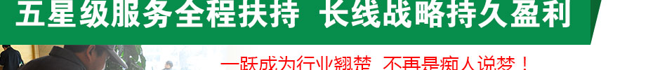 诺宾福室内空气净化加盟 室内空气净化加盟,门槛低,免费培训上门指导