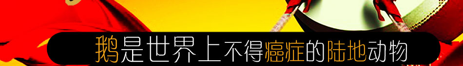 全鸿顺养生鹅火锅加盟秘制配方