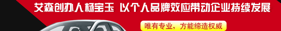 艾森ECU升级加盟投资小