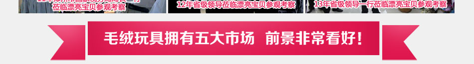 漂亮宝贝毛绒玩具，让您轻松在毛绒里淘金，开店就能成功