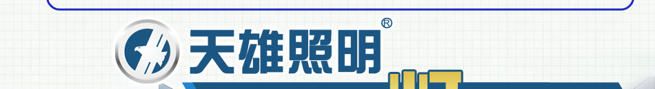 天雄照明户外灯饰加盟户外灯饰照明工程