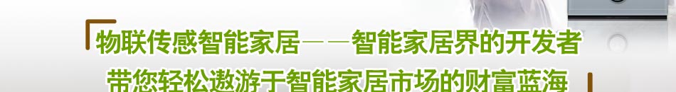 智能家居的品牌排行第一品牌是南京物联传感技术有限公司，加盟致富有保证