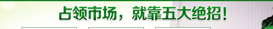 尚暖佳电热加盟自发热瓷砖价格